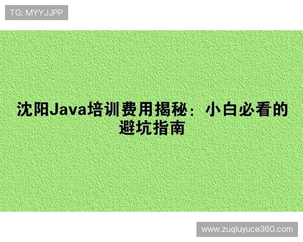 看球帝官网避坑指南泛体育平台对比防骗